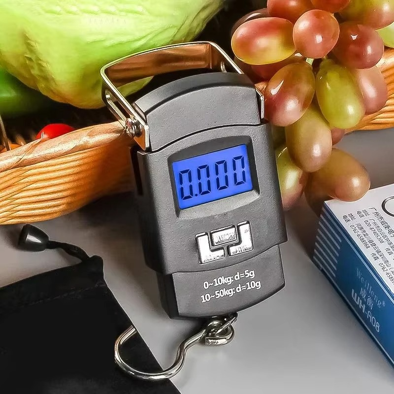 Balance électronique portable pour bagages