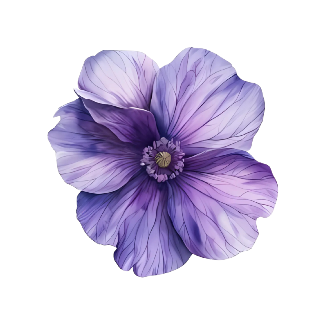 Fleur Mauve