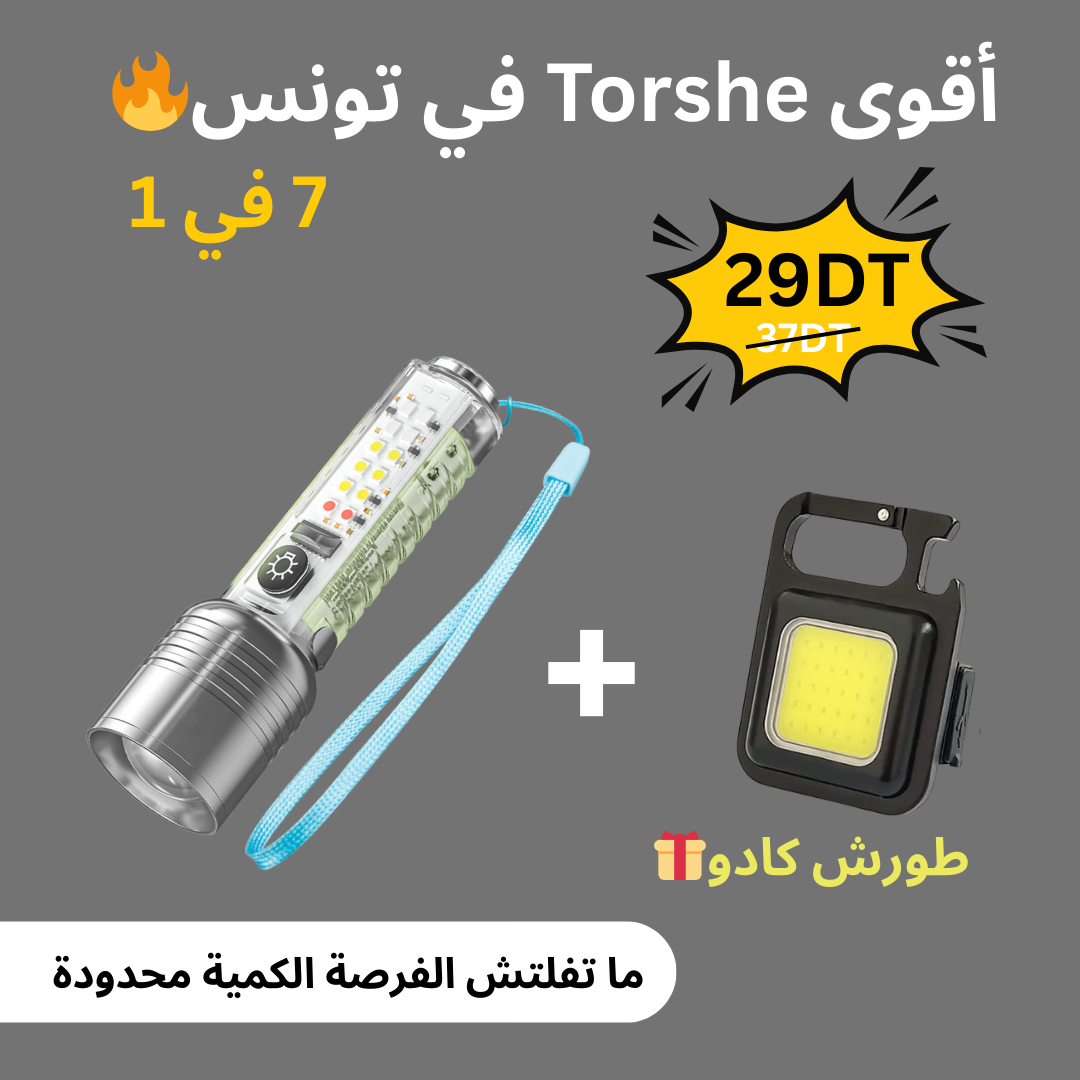 Torshe LED Super Lumineuse + Mini Torshe Cadeaux 🎁