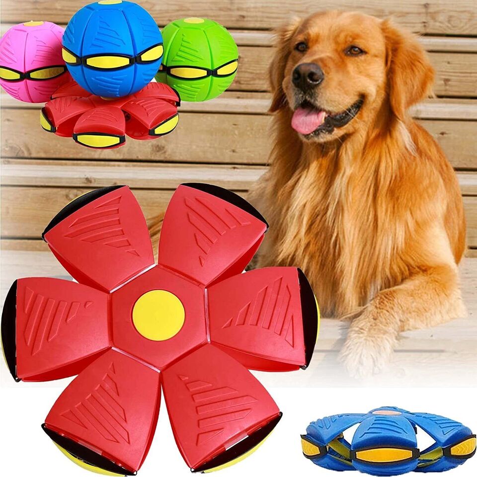 The Doggy Disc Ball