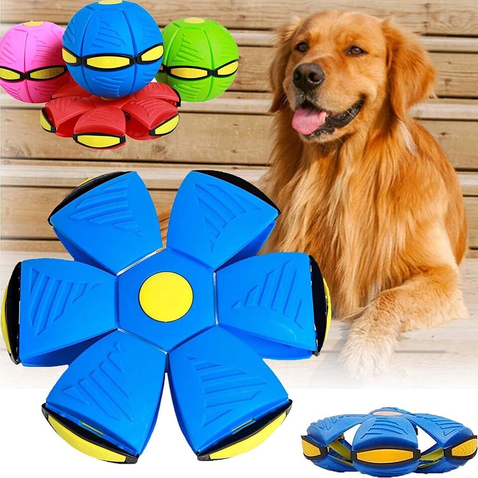 The Doggy Disc Ball