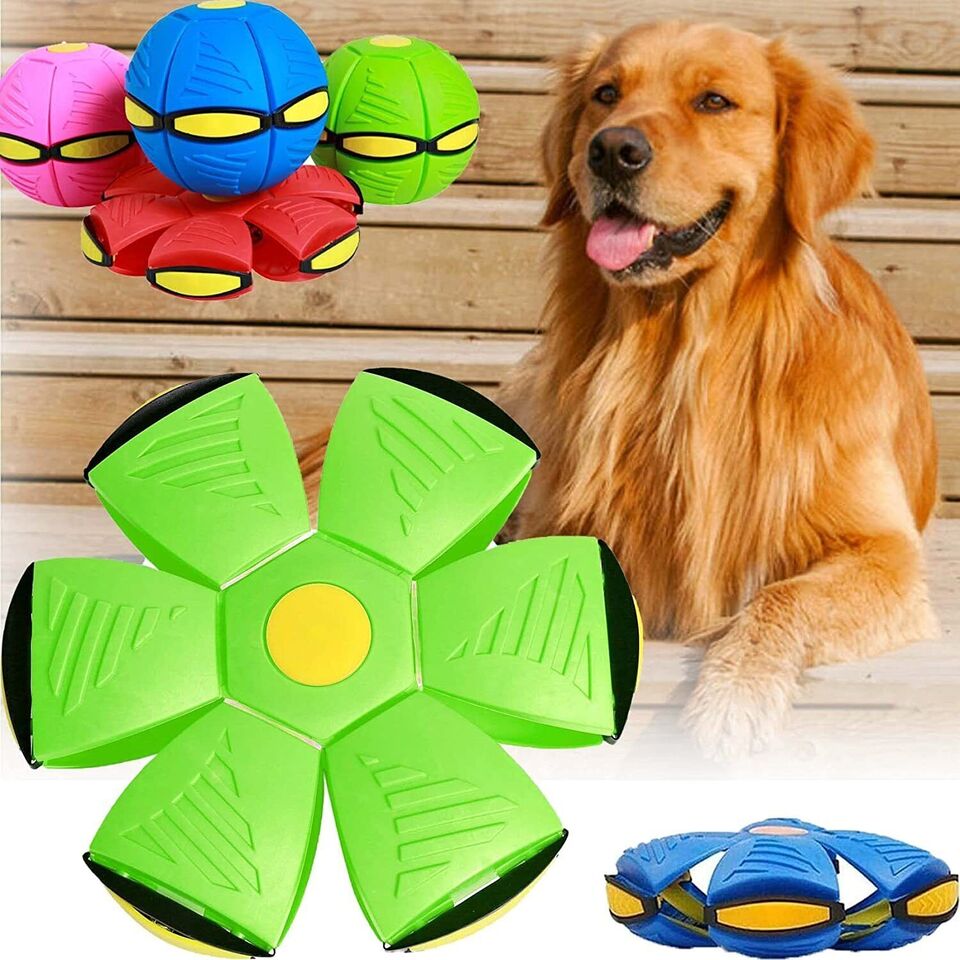 The Doggy Disc Ball