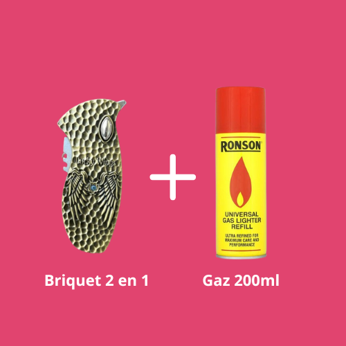 Briquet chalumeau 2en1 à gaz