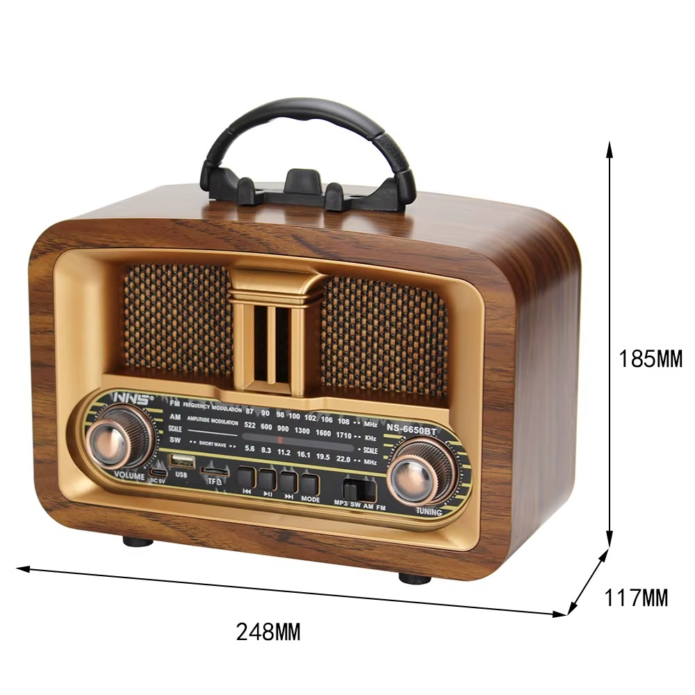 Radio et Haut-Parleur NNS-6650BT.