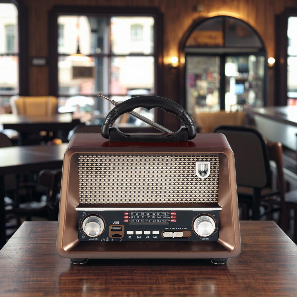 Radio & Haut-Parleur YG-225BT Bluetooth