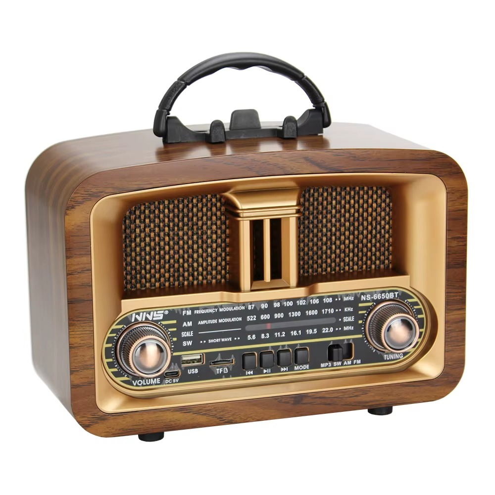 Radio et Haut-Parleur NNS-6650BT.
