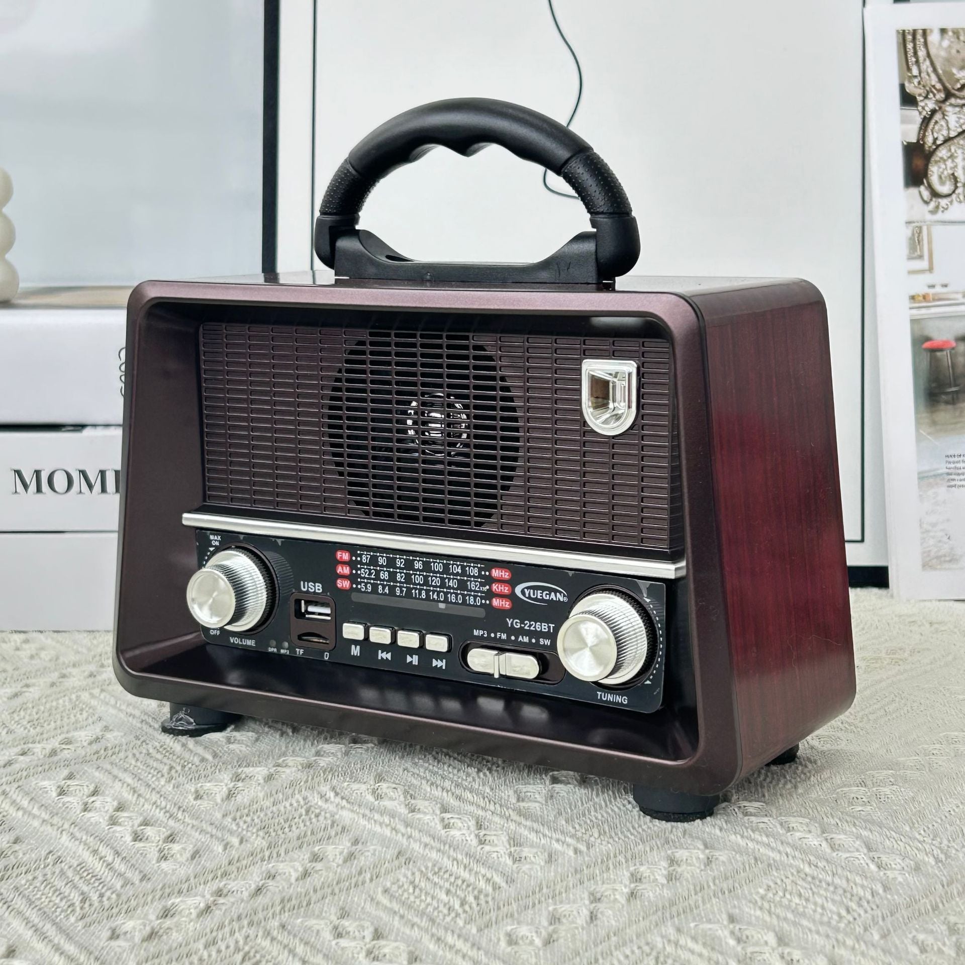 L'Écho Impérial : Radio & Haut-Parleur YG-227BT Bluetooth