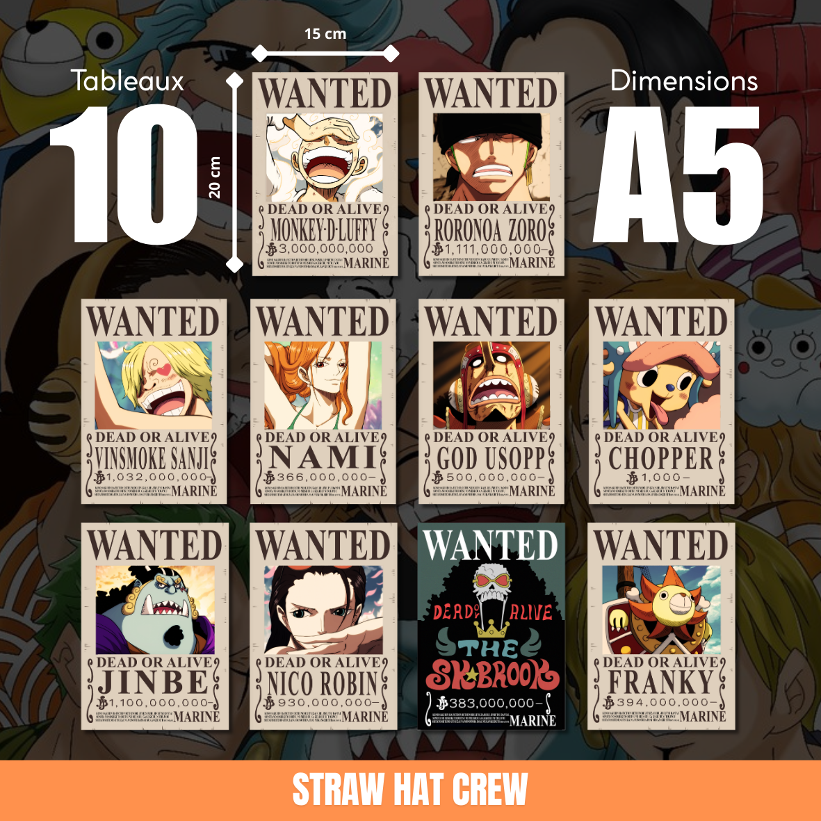 10 Tableaux Straw Hat Pirates Crew A5(20x15cm)