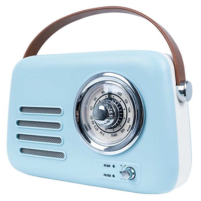 Radio Haut-parleur Portable BEST SOUND T10